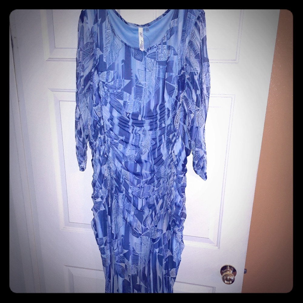 Sheer stretchy fitted dress with ruching